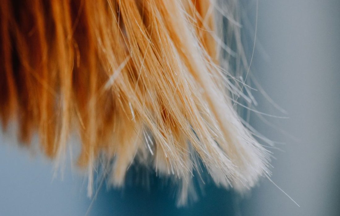 The Difference Between Dry Hair and Damaged Hair (And Why It Changes Your Routine)