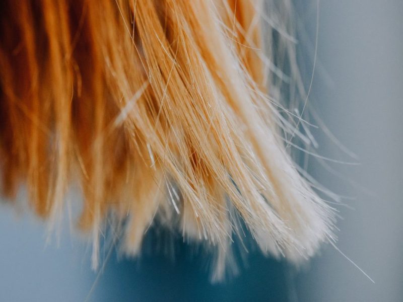 The Difference Between Dry Hair and Damaged Hair (And Why It Changes Your Routine)